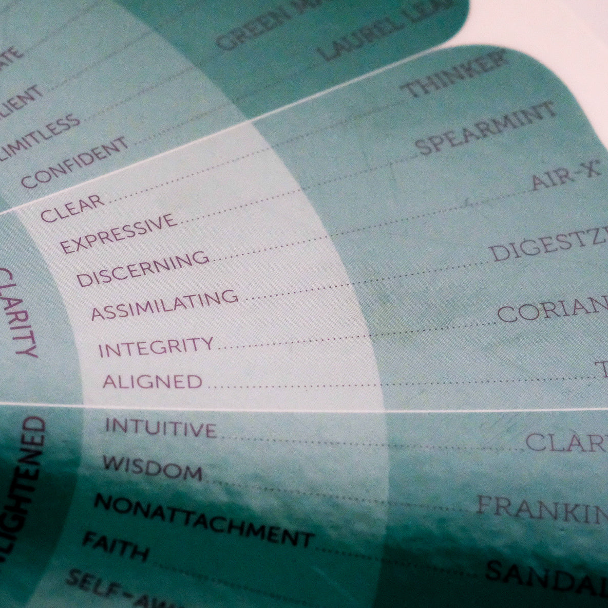 Roue Essential Emotions – 13e édition