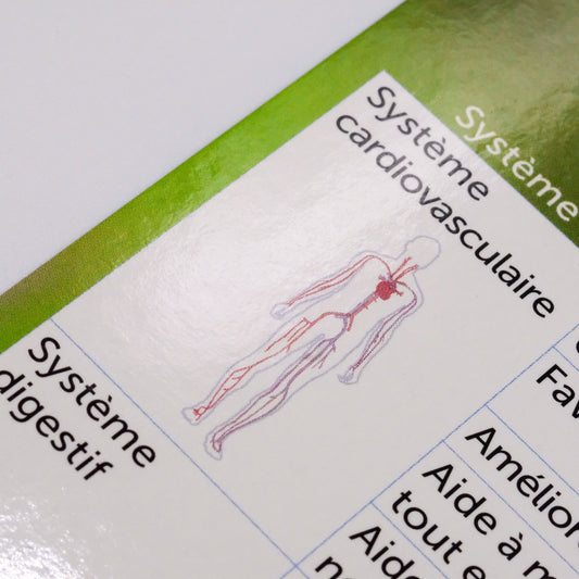 Reference Charter: Supporting Systems and Functions with Essential Oils