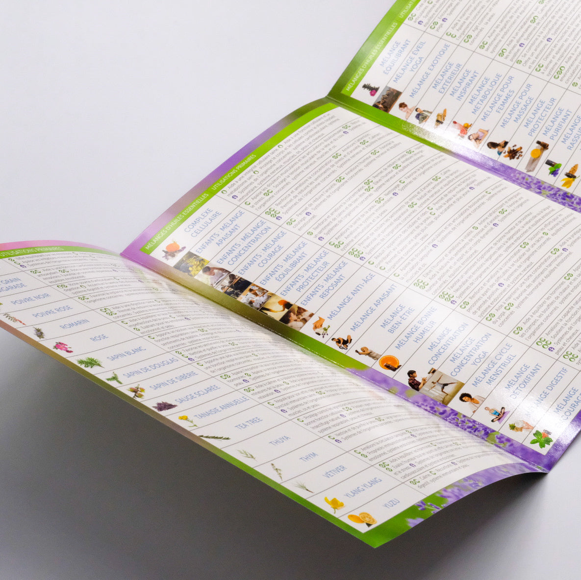 Graphique d'utilisation rapide des huiles essentielles et mélanges