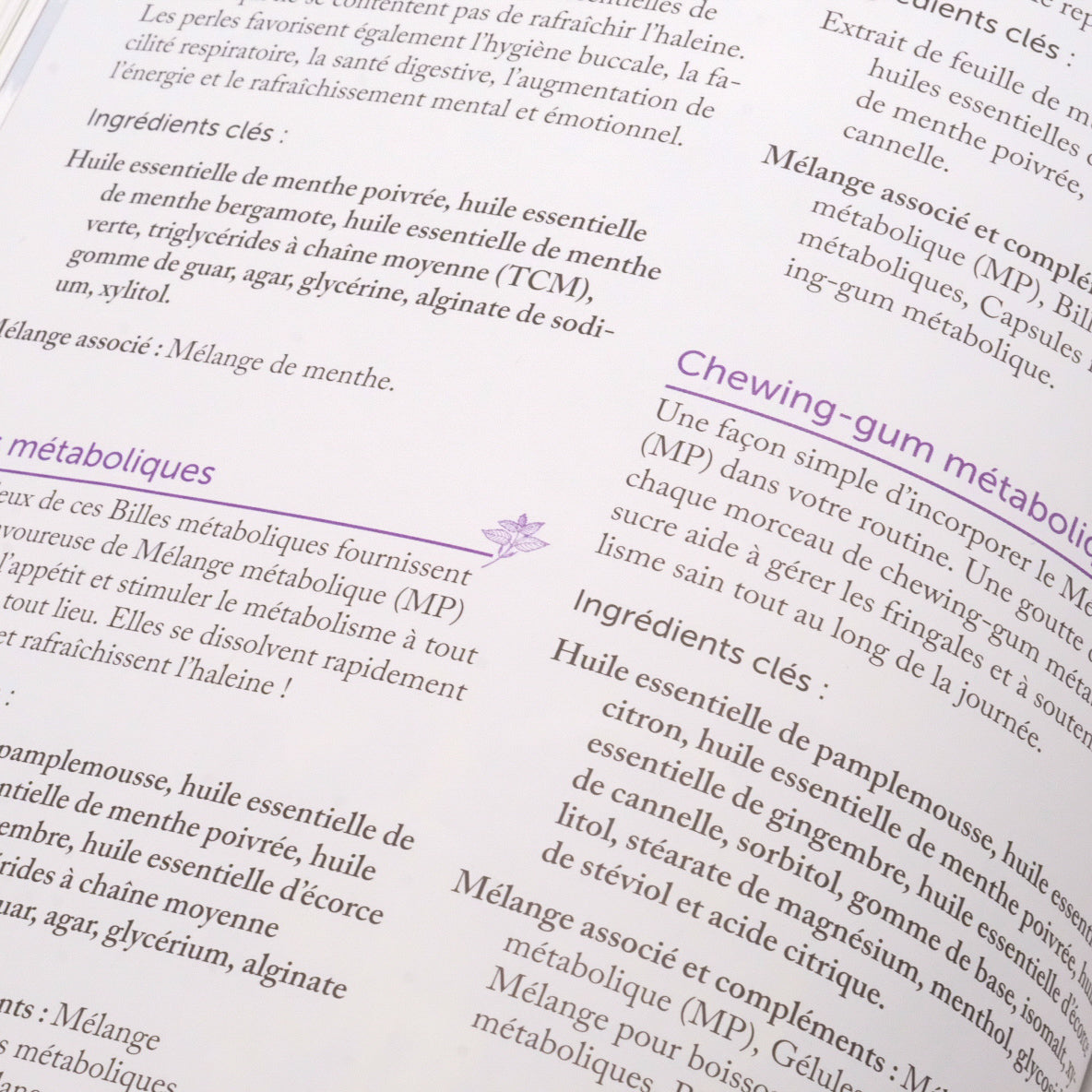 Livre Modern Essentials 16e édition Français – Guide d'utilisation (livre, livret et livraison inclus)