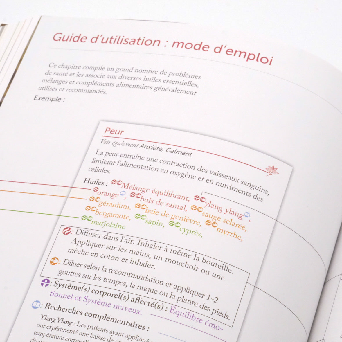 Livre Modern Essentials 16e édition Français – Guide d'utilisation (livre, livret et livraison inclus)