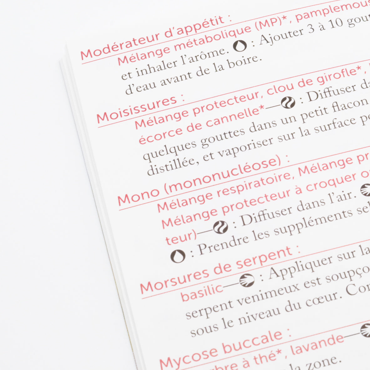 Livre Modern Essentials 16e édition Français – Guide d'utilisation (livre, livret et livraison inclus)