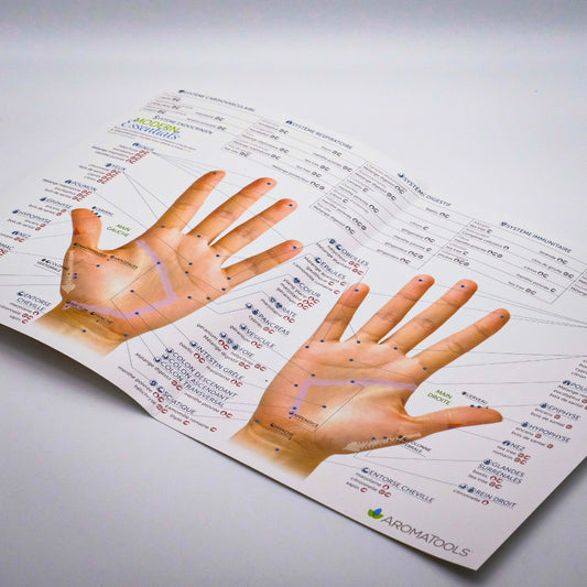 Charte de réflexologie 10e édition présentant les points réflexes des pieds, avec des indications sur les huiles essentielles recommandées pour chaque zone.