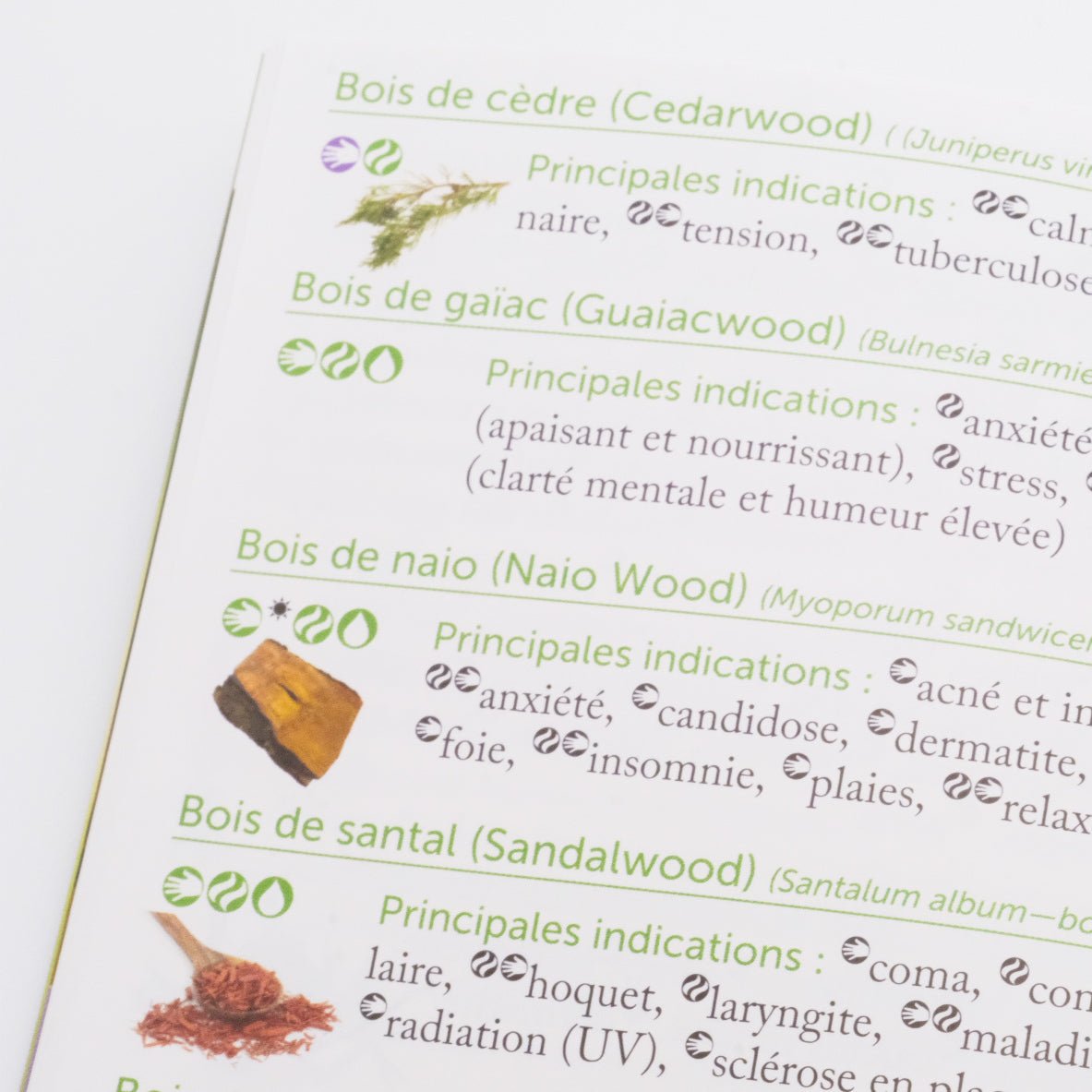 Livre Modern Essentials 16e édition Français – Guide d'utilisation (livre, livret et livraison inclus)