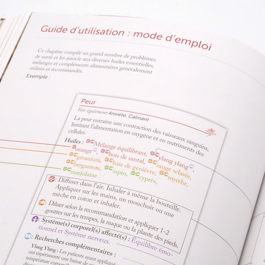 Modern Essentials - 16e édition en français