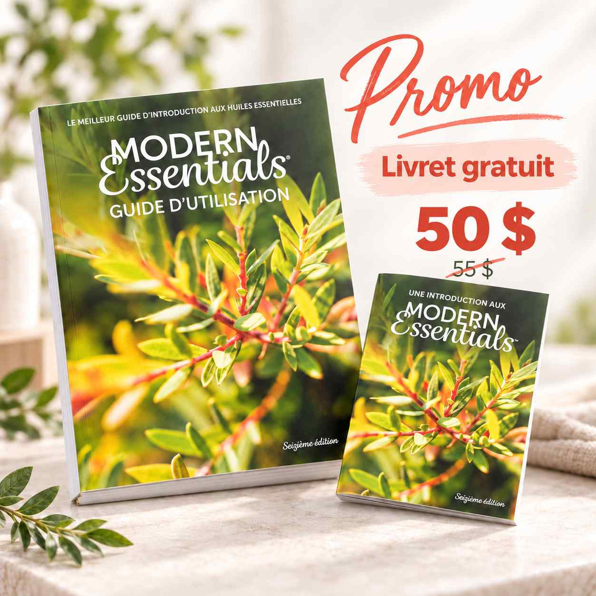 Modern Essentials – Guide d’utilisation + livret gratuit
