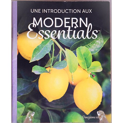 mini modern cover fr