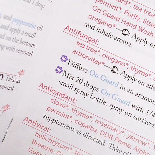 mini modern inside en