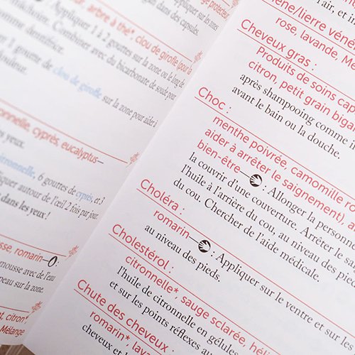 mini modern inside fr