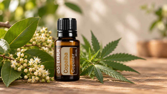 Copaiba et CBD : pourquoi les compare-t-on?
