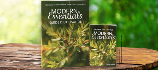 Une belle exclusivité : le retour du guide Modern Essentials… en français!