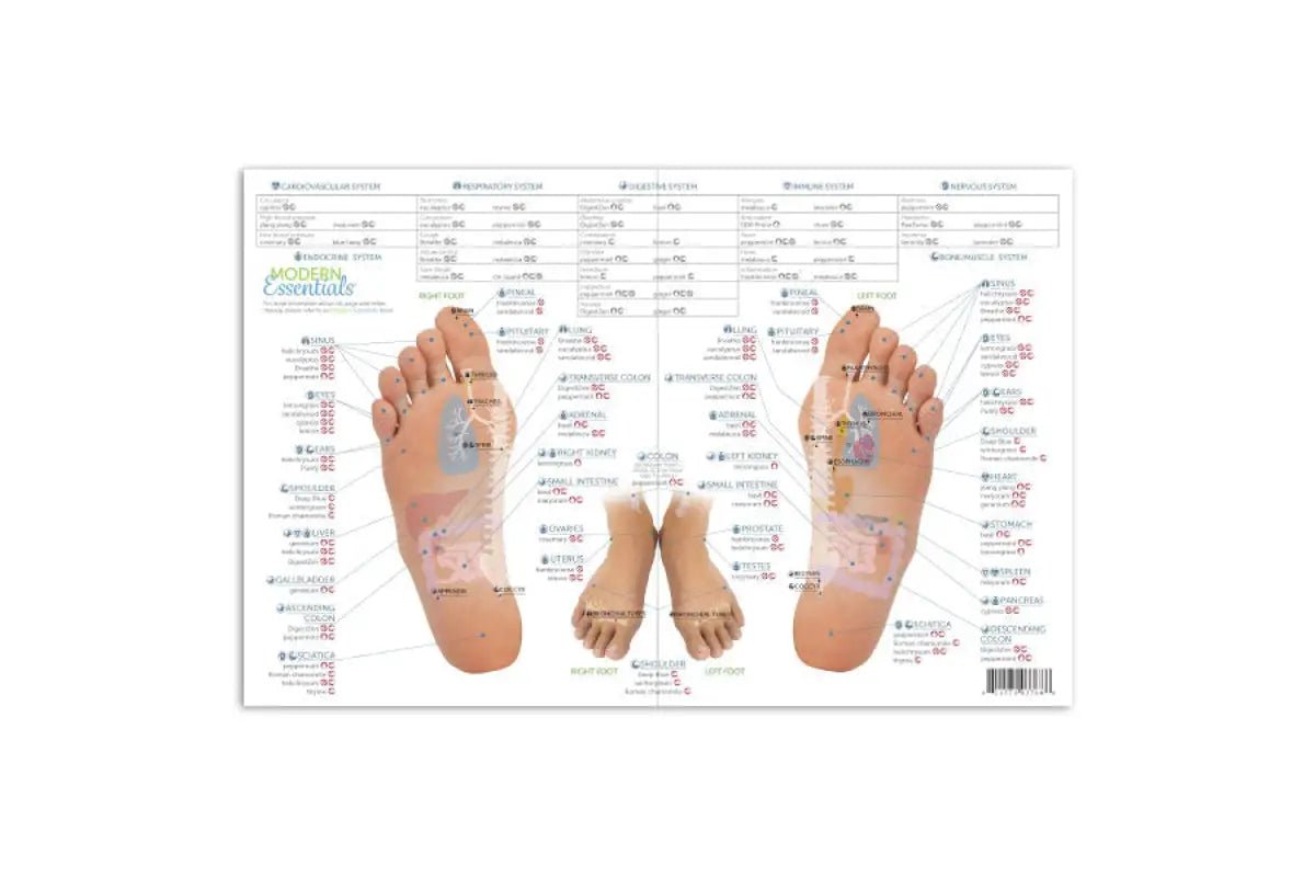 Gros plan sur la charte de réflexologie 10e édition, montrant les points réflexes spécifiques et les huiles essentielles associées.