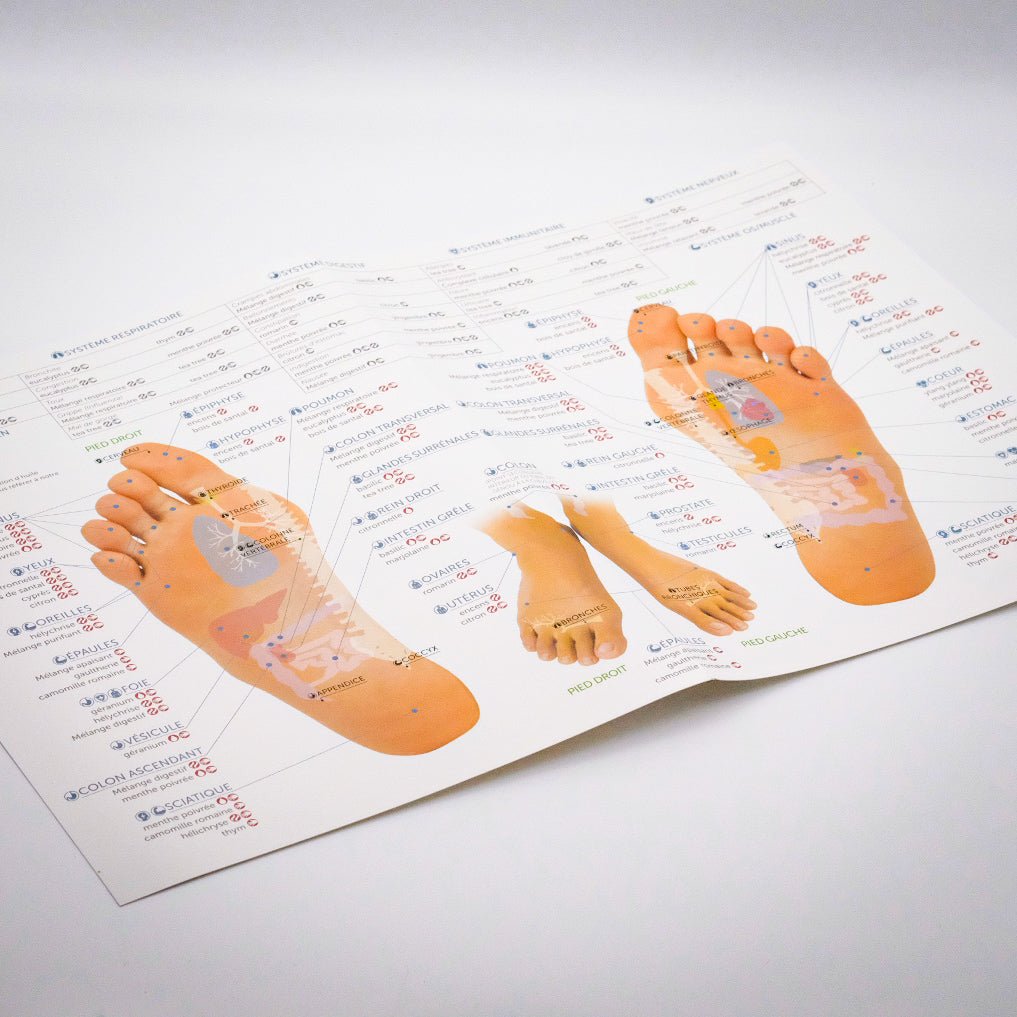 Charte de réflexologie 10e édition illustrant les points réflexes des mains, incluant des recommandations d'huiles essentielles pour chaque point.