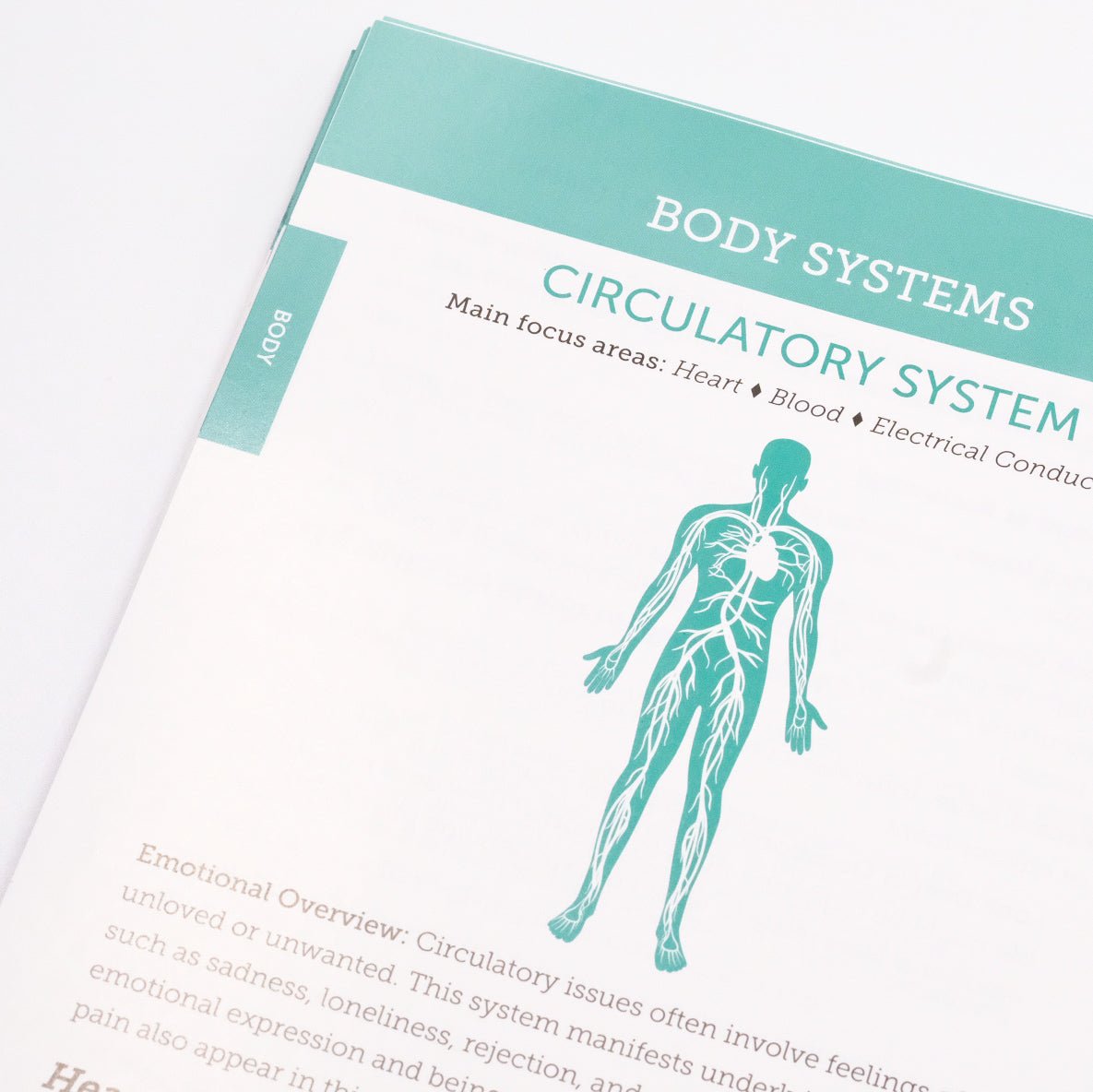 Systems and Functions Support - Book – 13th Edition – ENGLISH