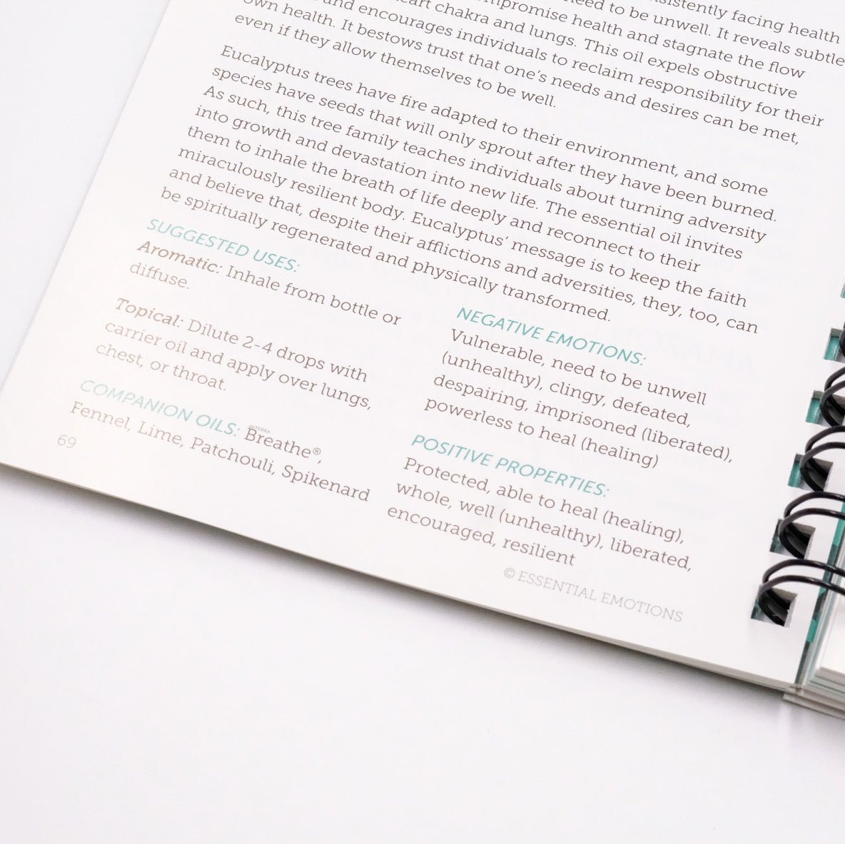 Systems and Functions Support - Book – 13th Edition – ENGLISH