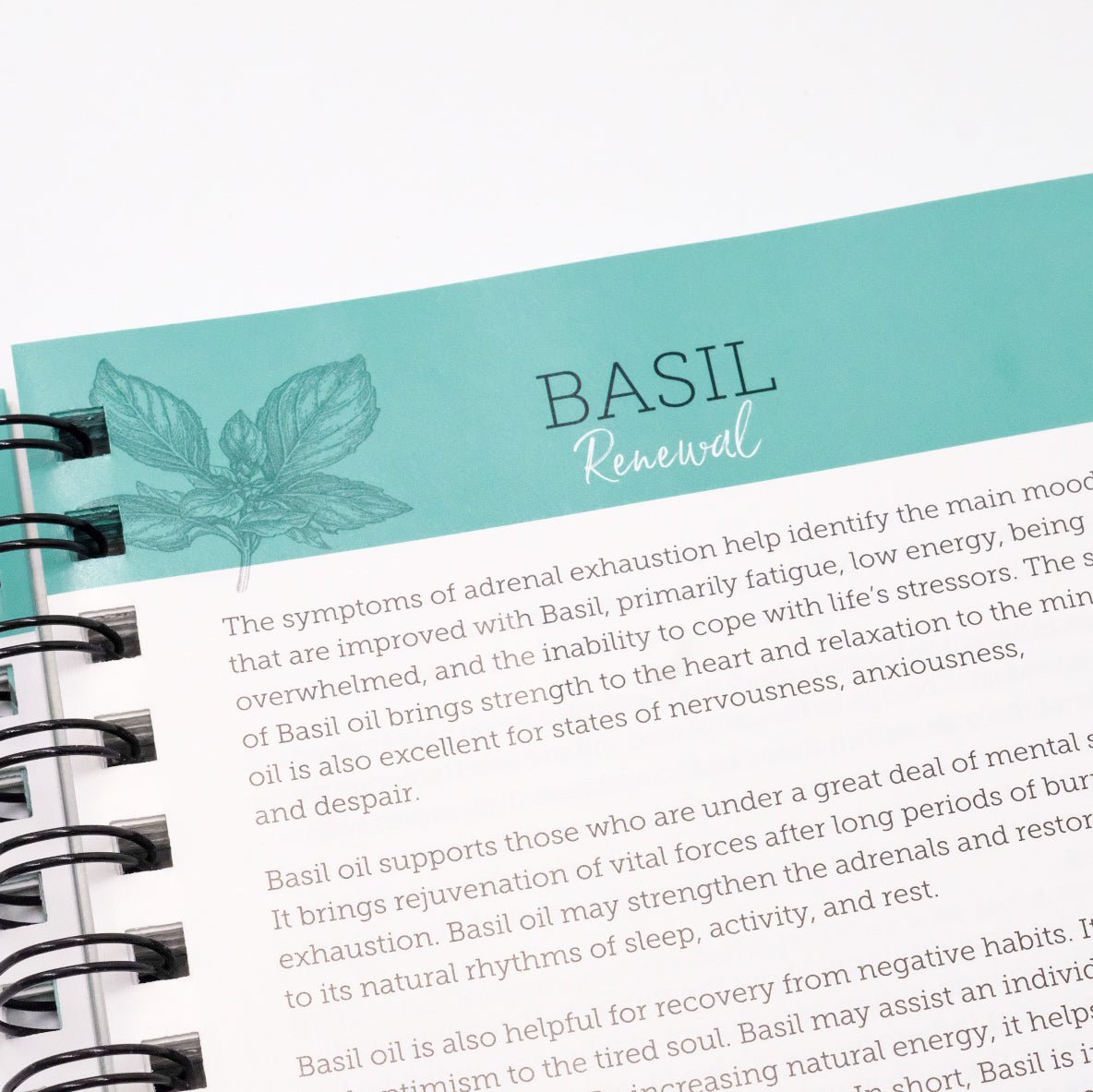 Systems and Functions Support - Book – 13th Edition – ENGLISH