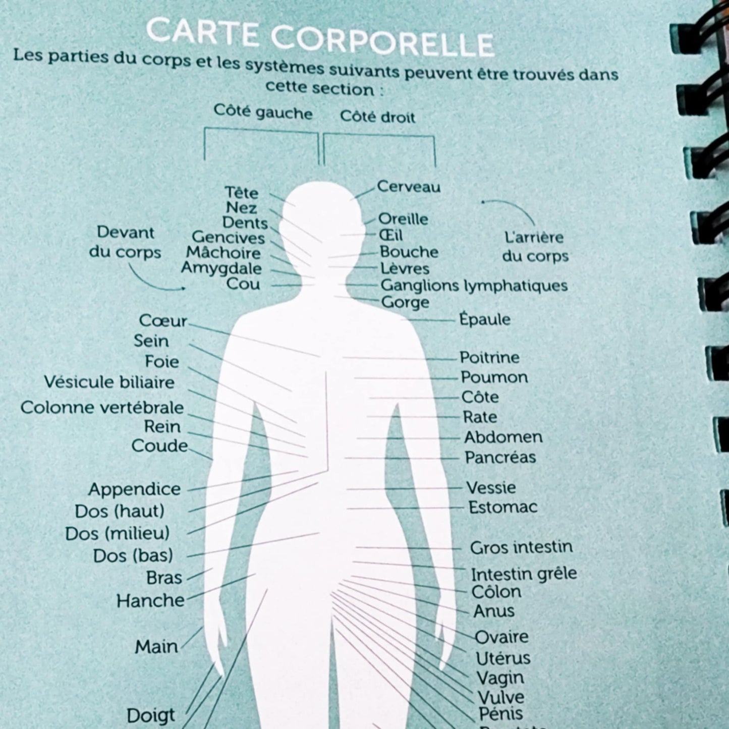 Livre Émotions Essentielles - 13e édition - Français