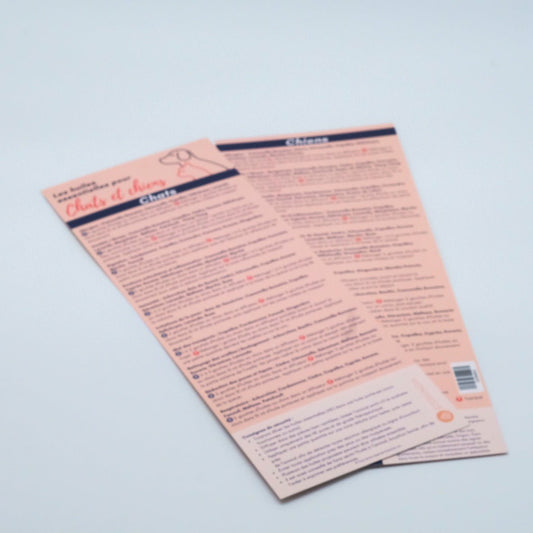 Mini guide : Huiles essentielles pour chats et chiens