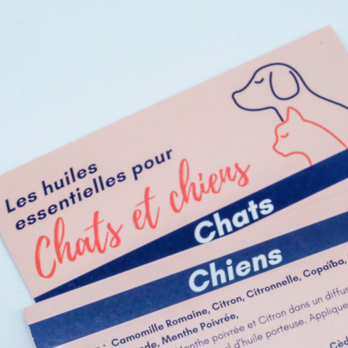 Mini guide : Huiles essentielles pour chats et chiens